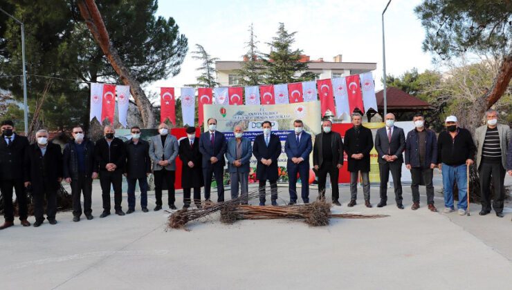 Amasya Çiftçisine Misket Elma Ve Trabzon Hurması Fidanı Dağıtıldı