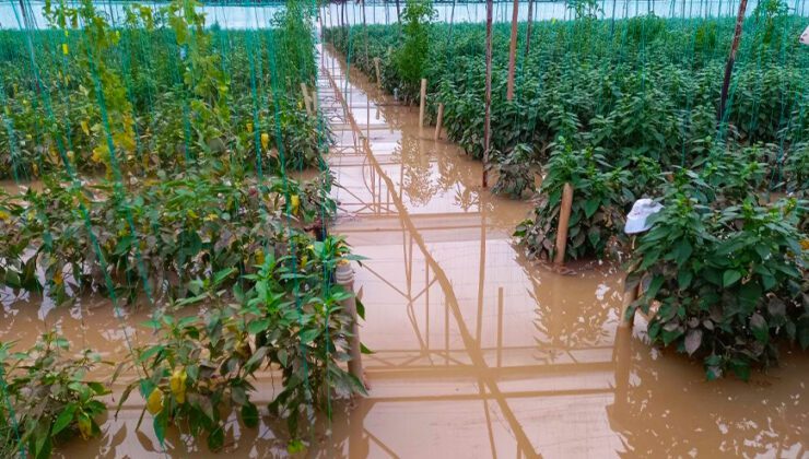 Antalya’da Dere Taştı, Biber Serası Sular Içinde Kaldı