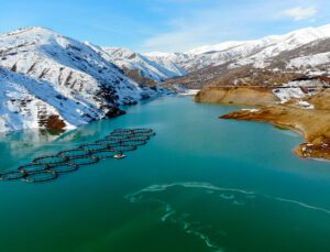 Erzincan’Daki Göyne Sulama Barajı Buzla Kaplandı