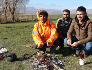 Muş’ta Sıcak Hava Besicilerin Yüzünü Güldürüyor