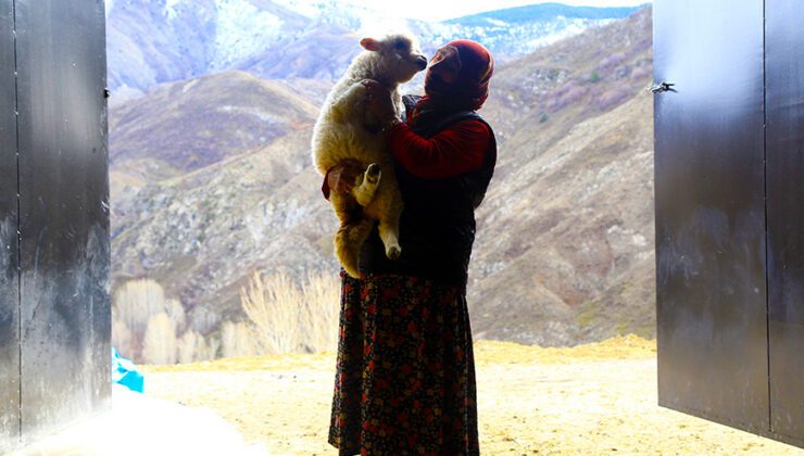 Gümüşhaneli Kadınlar  Bileziklerini Bozdurup Hayvancılığa Yatırım Yaptı