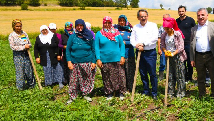 Samsun’da 2021’De 4 Bin 758 Çiftçiye Destek