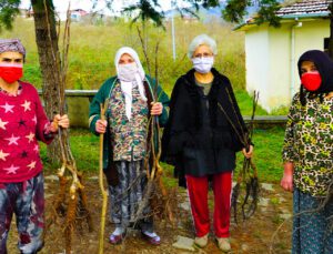 Altınordu’da 100 Bin Fidan Toprakla Buluşturuluyor