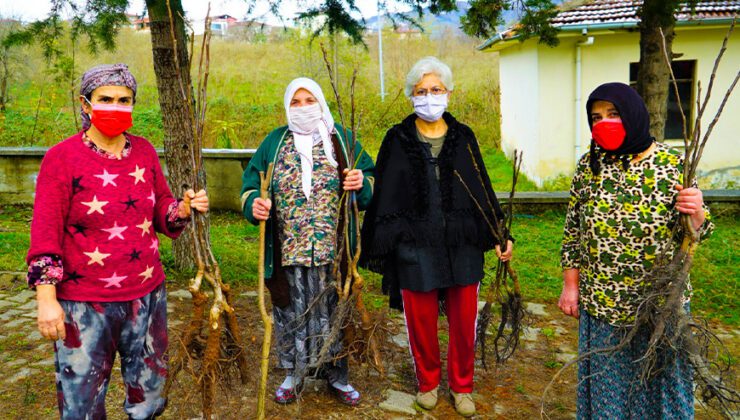 Altınordu’da 100 Bin Fidan Toprakla Buluşturuluyor