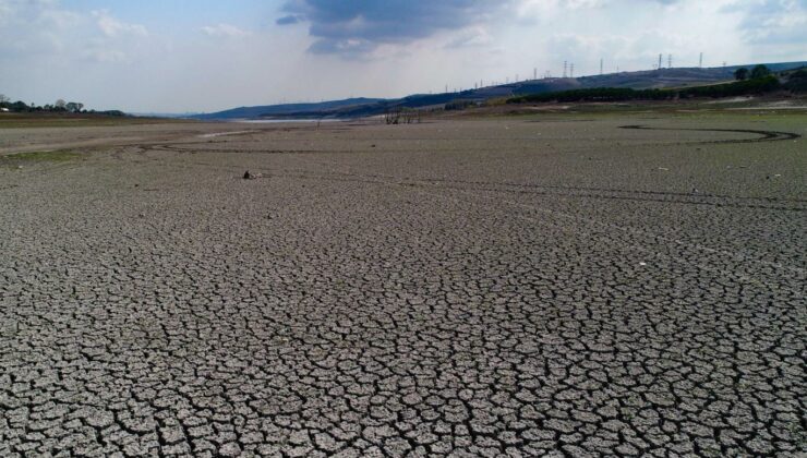 Çiftçilere 38 Milyon 900 Bin Lira Kuraklık Destek Ödemesi!