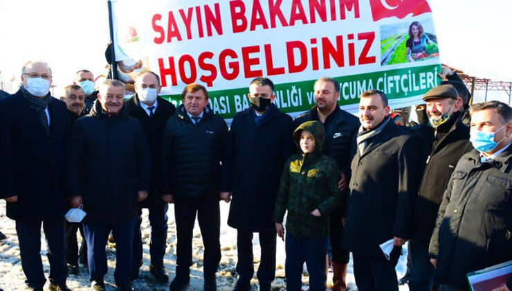 Tarım Ve Orman Bakanı Pakdemirli Protokol Tarafından Karşılandı