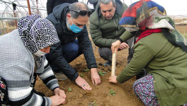 50 Bin Salep Fidesi Toprakla Buluşturuldu