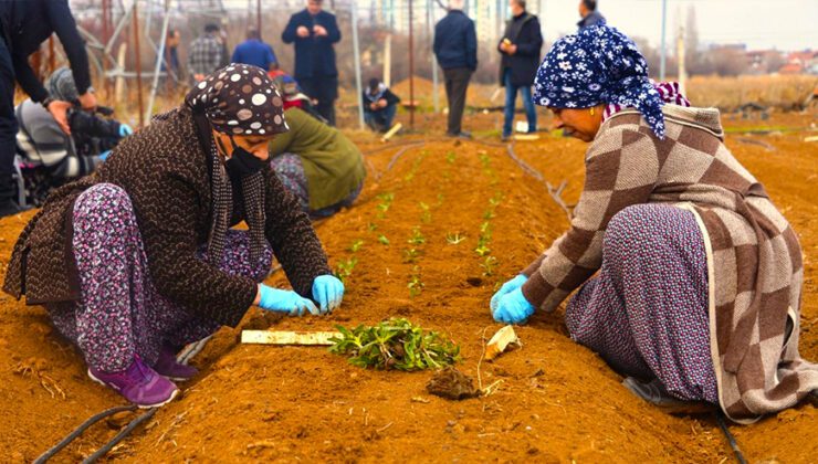 Yeşilyurt Belediyesi’nden Üretime Katkı