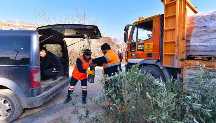 Başkan Altay: “Zeytin Üretimi Için 2 Ilçemizde Pilot Uygulamaya Başladık”