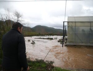 Dere Taştı Tarım Arazileri Su Altında Kaldı