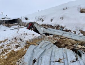 30 Koyunu Telef Olan Yetiştiriciye Yardım Eli