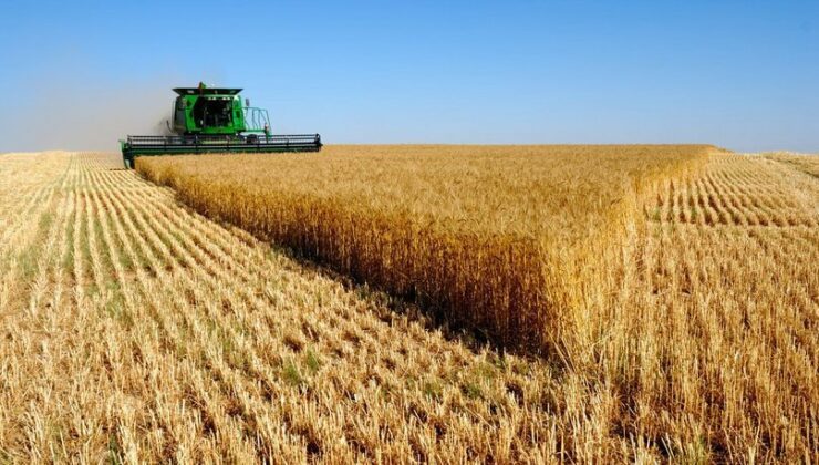 Tarım-Üfe Yıllık Yüzde 36,39 Arttı