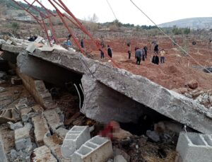 Ahır Çöktü: 5 Büyükbaş  Telef Oldu