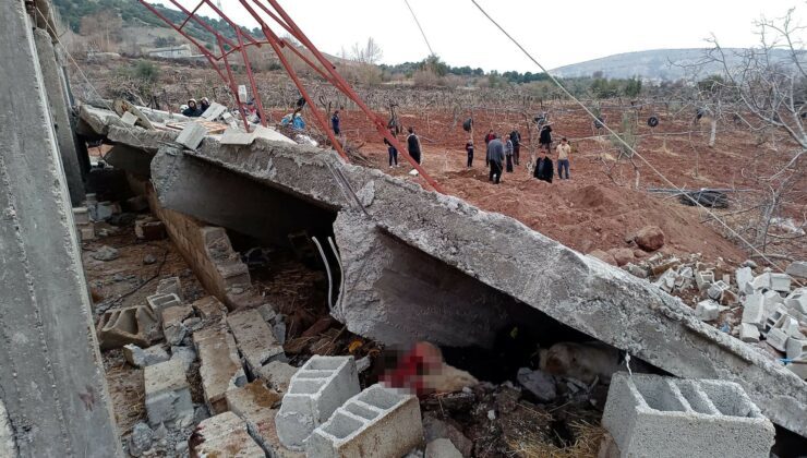 Ahır Çöktü: 5 Büyükbaş  Telef Oldu