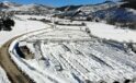 Kar, gül serasını yerle bir etti: 2.5 milyon zarar
