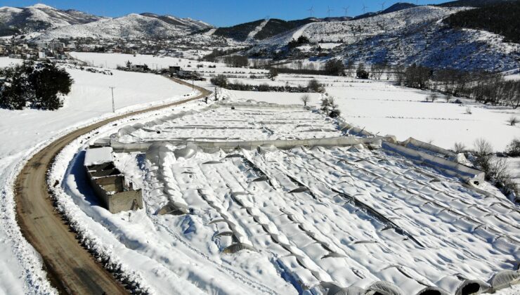 Kar, Gül Serasını Yerle Bir Etti: 2.5 Milyon Zarar