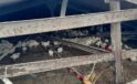 Çiftlik çatısı çöktü: 18 bin tavuk telef oldu