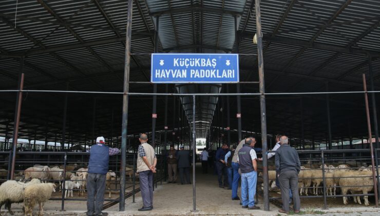 Çiçek Hastalığı Hayvan Pazarını Kapattırdı!