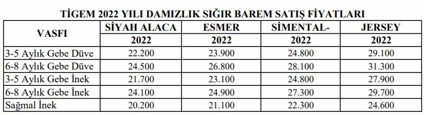 Tygem1