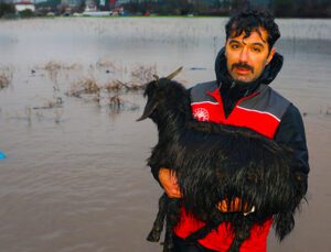 Ahırda Mahsur Kalan Havyanlar Kurtarıldı