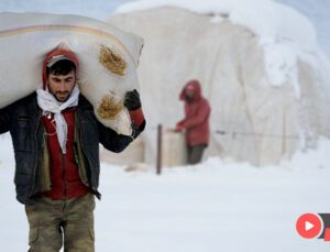 Besiciler Soğukla Mücadele Ediyorlar