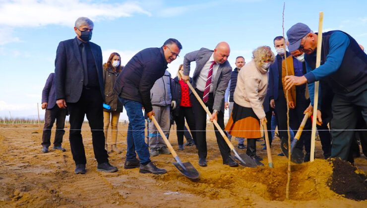 Cennet Elması Yeni Gelir Kapısı Olacak