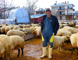 Kışın Hayvanlarına Ahırlarda Bakıp Kar Üzerinde Besliyor!