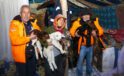 Karda mahsur kalan 120 küçükbaş kurtarıldı