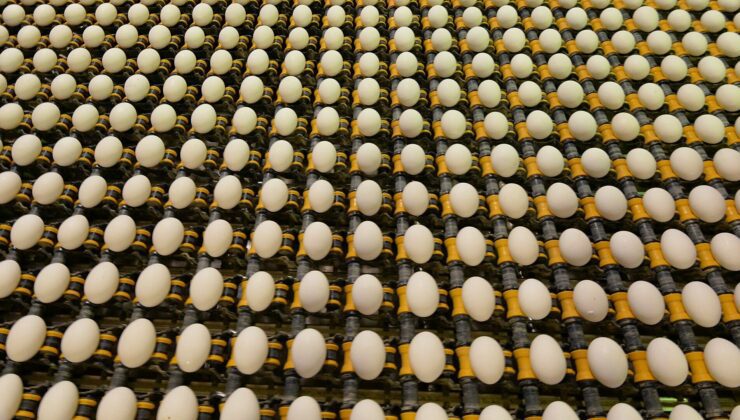 Yumurta Üreticileri Merkez Birliği: “Fiyat Artışının Sebebi Biz Değiliz”