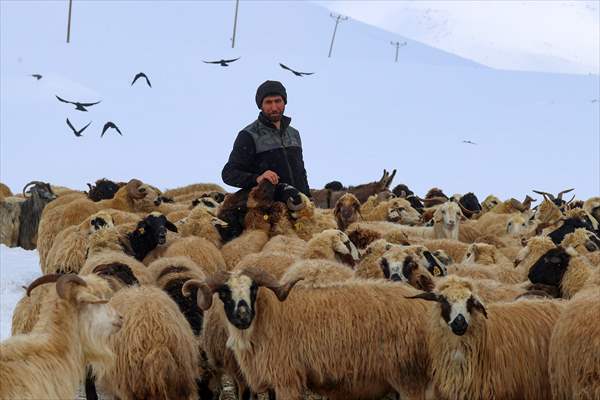 Besicileri Kar Yağışı Sevindirdi