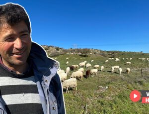Koyun Güderek 1000 Dönüm Arazi Satın Aldı