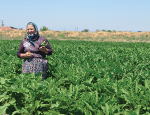 Tarım Kredi’Den Çiftçiye Borç Yapilandirmasi