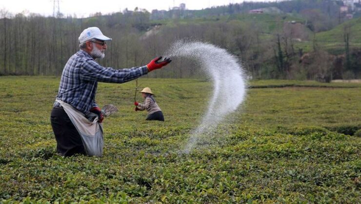 Rusya’Dan Gübre Ihracatına Kısıtlama