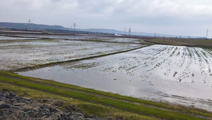 Ergene Nehri Taştı, Tarım Arazileri Su Altında Kaldı