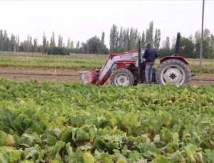 Mazot Gübre Desteği Bugünden Itibaren Ödeniyor!