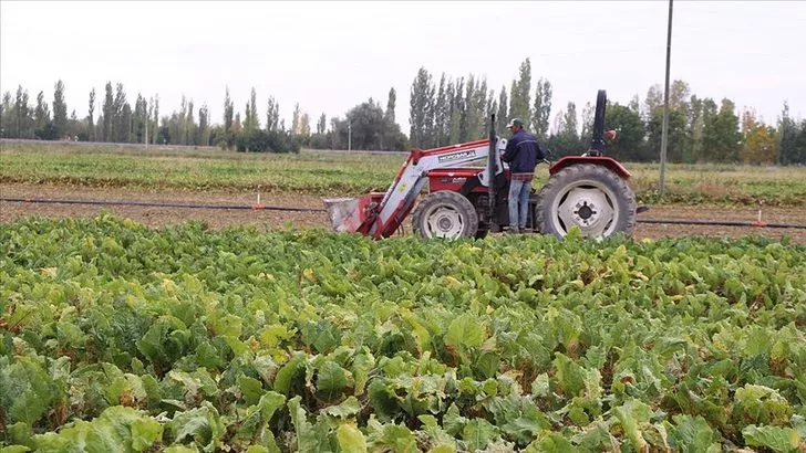 Mazot Gübre Desteği Bugünden Itibaren Ödeniyor!