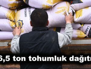 736,5 Ton Tohumluk Dağıtıldı