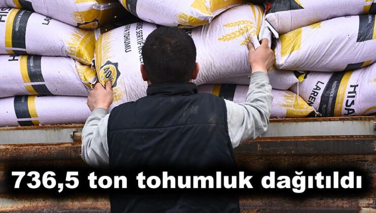 736,5 Ton Tohumluk Dağıtıldı