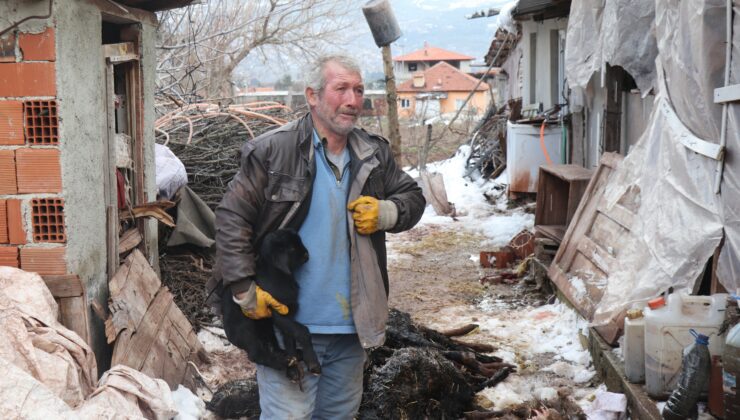 Aşı Yapılan 150 Keçiden 70’I Telef Oldu