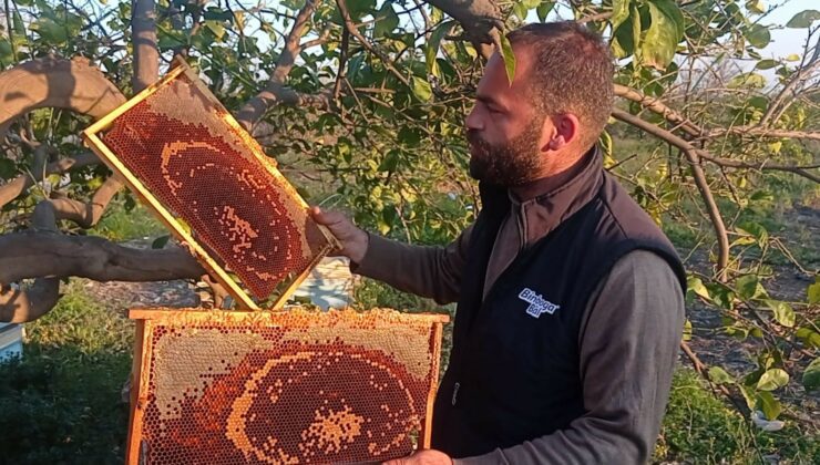 500 Kovan Dolusu Binlerce Arı Telef Oldu