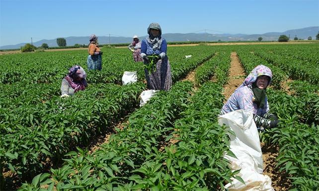 Tarım Sektöründe Kdv Indirimi Açıklaması