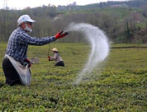 291 Tonluk Gübre Desteği Geliyor