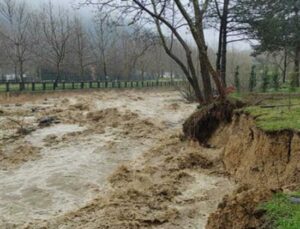 Tarsi̇m 61,5 Milyon Tl Civarında Hasar Ödemesi Öngörüyor