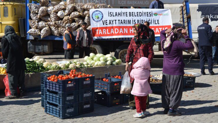 Tarladan Halka Sebze Satışı Başladı