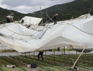 Karın Yıktığı Seraları Fırtına Vurdu