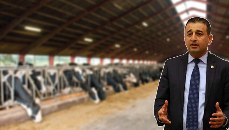 Besici Iflasın Eşiğinde
