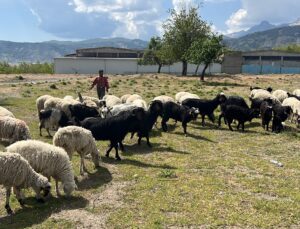 Hayvanları Telef Olan Aileye Destek Verildi