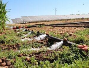 Çiftçinin Sulama Sorunu Meclis Gündeminde