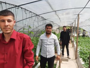 Üç Arkadaş Sera Kurdu, Topraksız Tarım Yapıyorlar