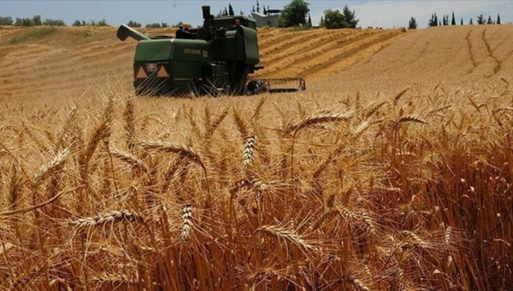 Bakanlıktan Buğday Ithalatı Yalanlaması
